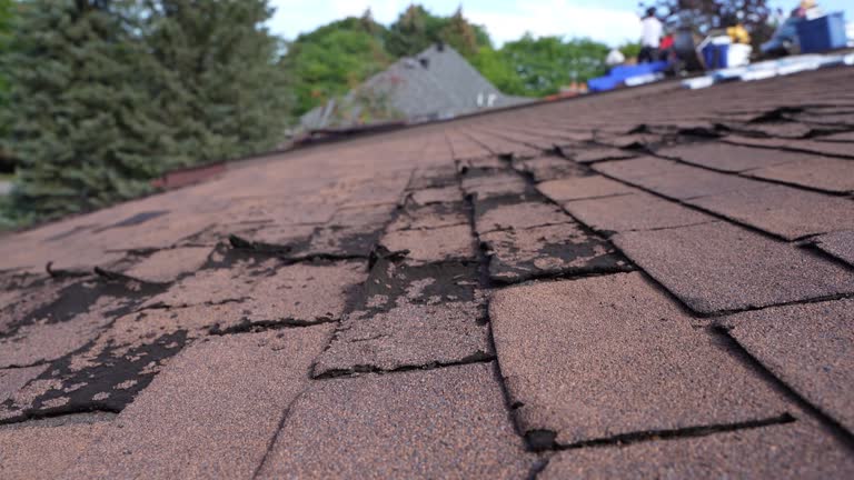 Best Asphalt Shingle Roofing  in Ceresco, NE